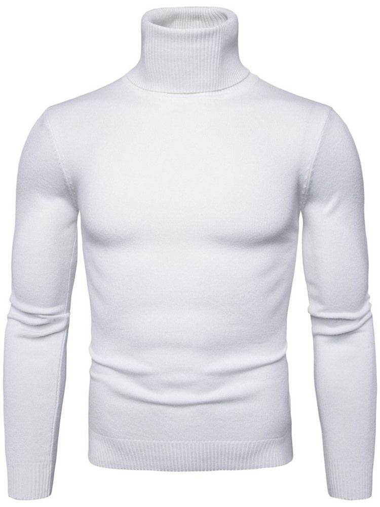 Pull À Col Roulé Uni Standard Slim Spring Pour Hommes