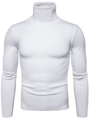 Pull À Col Roulé Uni Standard Slim Spring Pour Hommes