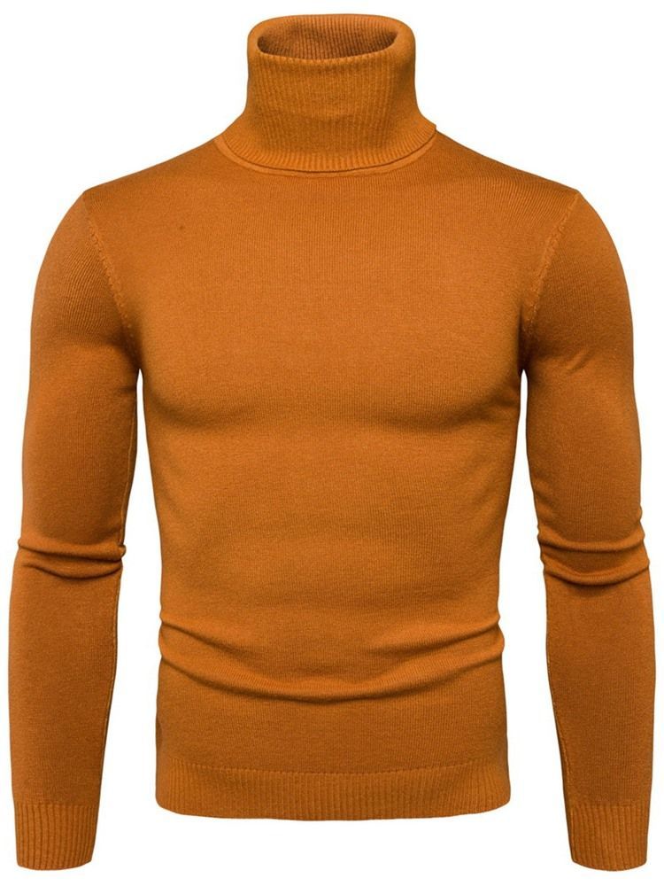 Pull À Col Roulé Uni Standard Slim Spring Pour Hommes