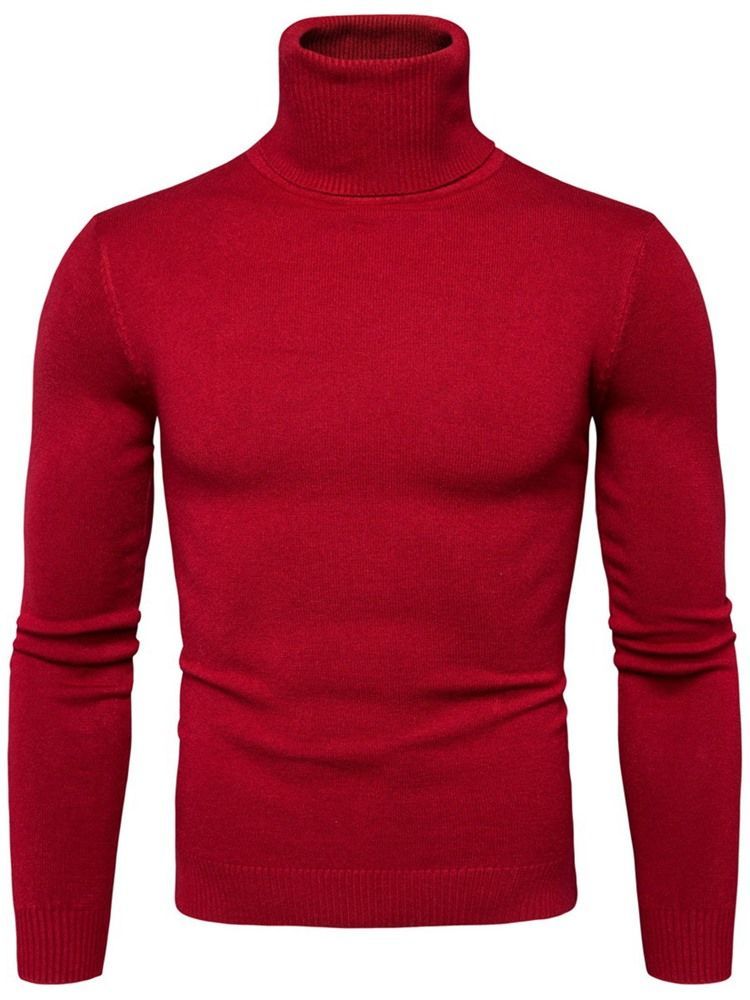 Pull À Col Roulé Uni Standard Slim Spring Pour Hommes