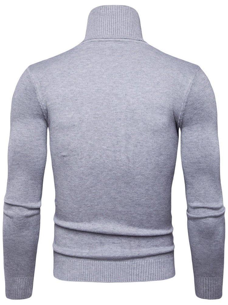 Pull À Col Roulé Uni Standard Slim Spring Pour Hommes