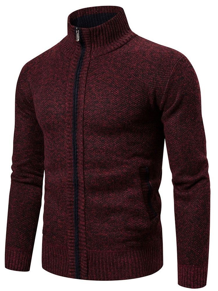 Pull D'automne Mince Standard À Blocs De Couleurs Pour Hommes