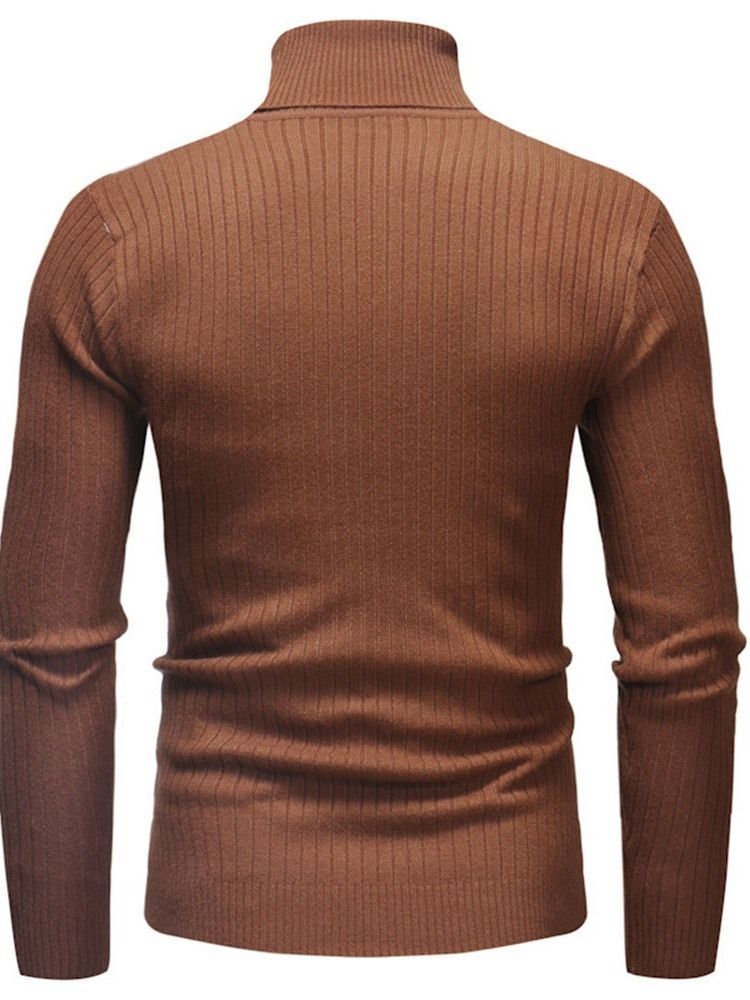 Pull Slim Décontracté À Col Roulé Standard Pour Hommes