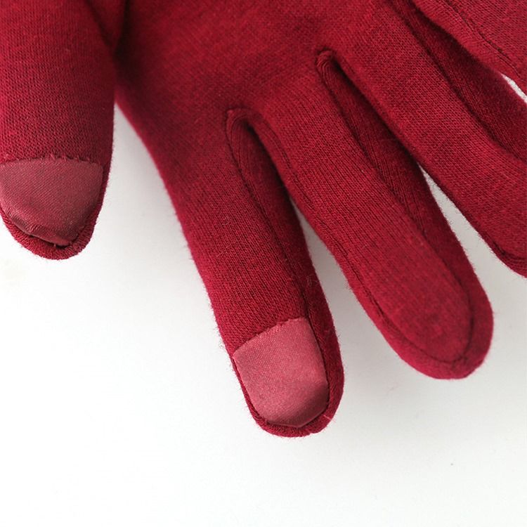 Gants D'hiver À Fleurs Brodées Pour Femmes