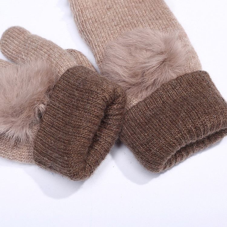 Gants D'hiver En Peluche À Blocs De Couleurs Pour Femmes