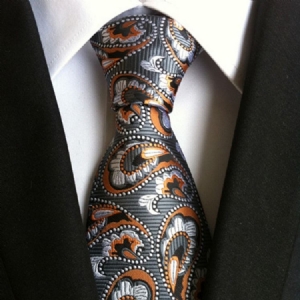 Cravate Paisley Pour Hommes