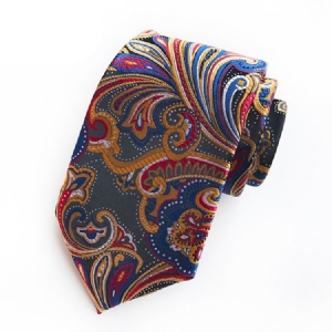 Cravate Paisley Pour Hommes Entreprises Pour Homme