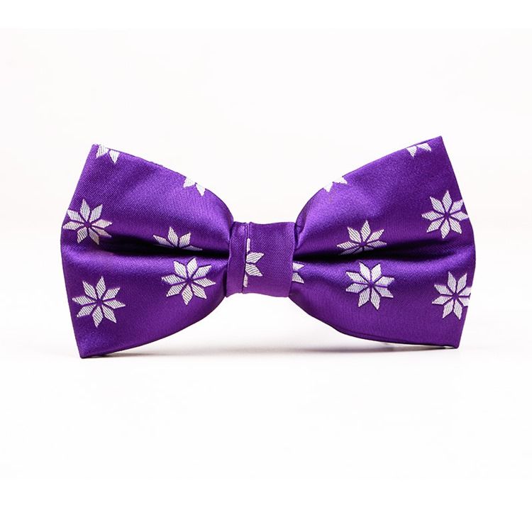 Noeud Papillon Violet De Mariage Pour Hommes