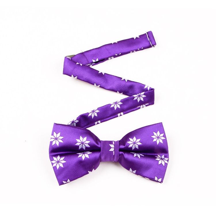 Noeud Papillon Violet De Mariage Pour Hommes