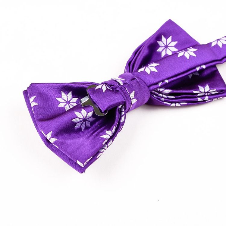 Noeud Papillon Violet De Mariage Pour Hommes