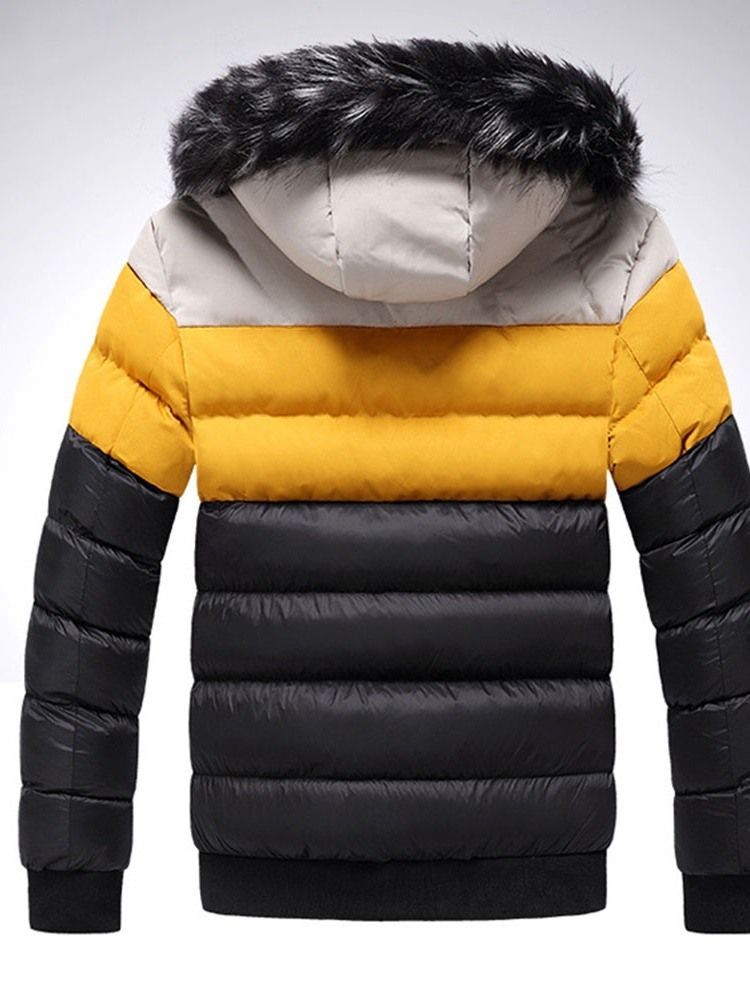 Veste En Duvet Européenne À Col Montant Standard Avec Fermeture Éclair À Blocs De Couleurs Pour Hommes