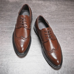 Oxfords Pour Hommes À Lacets Et À Coupe Basse Plain England